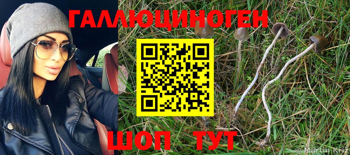 Галлюциногенные грибы ЛСД  Вход с VPN  Псилоцибиновые грибы MAGIC MUSHROOMS  Иркутск 