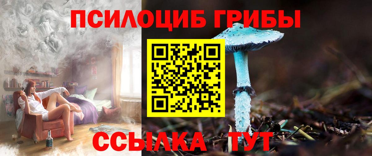 Галлюциногенные грибы Psilocybine cubensis Иркутск